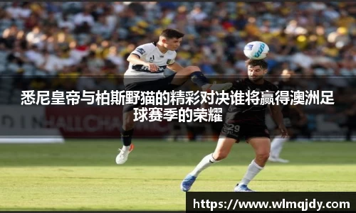 悉尼皇帝与柏斯野猫的精彩对决谁将赢得澳洲足球赛季的荣耀